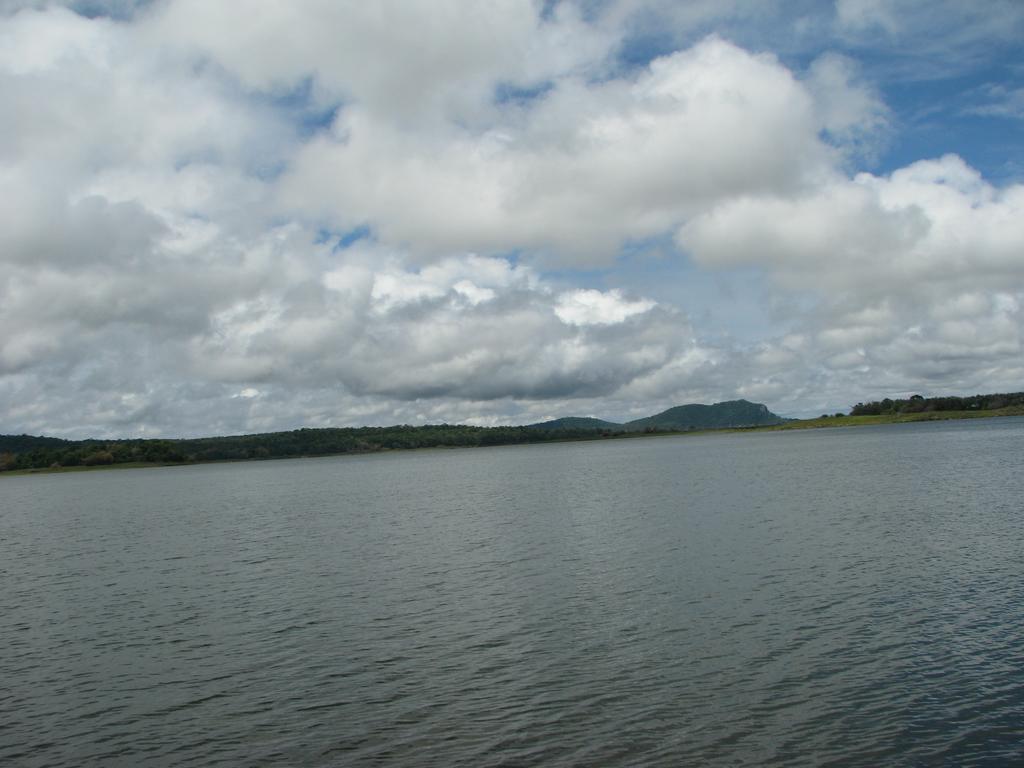 Coorg Jungle Camp Resort Suntikoppa Esterno foto