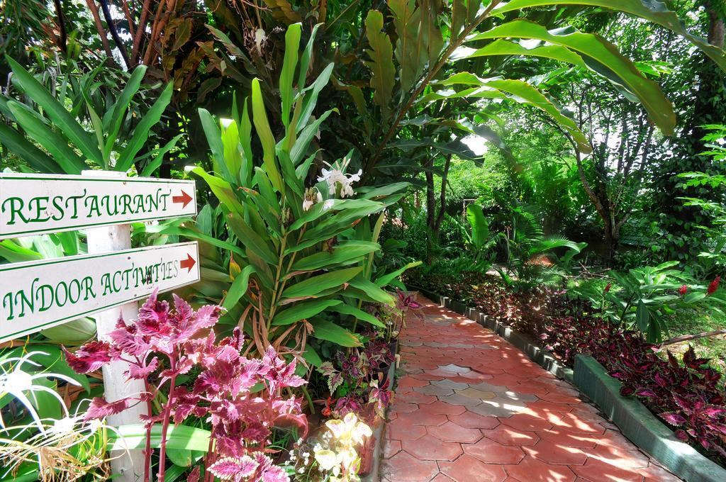Coorg Jungle Camp Resort Suntikoppa Esterno foto