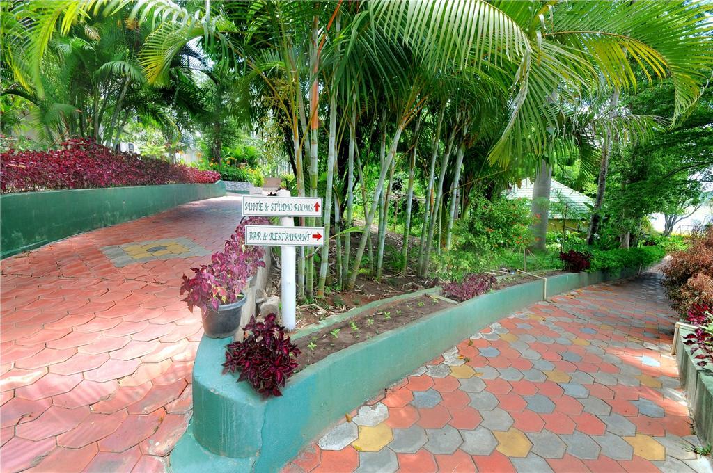 Coorg Jungle Camp Resort Suntikoppa Esterno foto